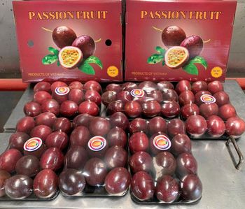 Vietnamese Passion Fruit – Fresh & Frozen Pulp – product photo, Fruit Pulp Assortment products found from trusted suppliers, wholesalers, manufacturers & exporters Listing