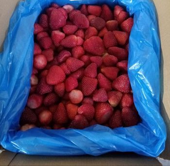 Frozen fruits Grade A+ Shelf Life 18 months Packaging Products can be packed in bags for preserving frozen foods, with your brand and desired information on the bags, in the weights you - Foodcana FOR FOOD PRODUCTS - United Arab Emirates