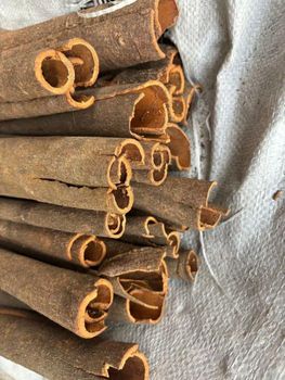 cinnamon - 泛东国际供应链 - China