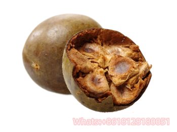 Wholesale China Guangxi Monk Fruit ( Luo Han Guo）and Chinese herbal medicine plants direct supply from origin - Guangzhou Vol Sea technology co.,LTD - China