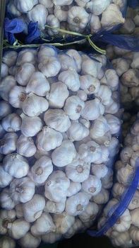 Made in China Fresh Garlic We offer a wide range of sizes of garlic at discounted prices from Chengdu Zhonghe Dingfu Import and Export Trading Co., LTD Made in China Fresh Garlic We offer a wide range of sizes of garlic at discounted prices - Chengdu Zhonghe Dingfu Import and Export Trading Co., LTD - China