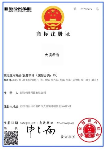 DAXI XIYIN certificate from Zhejiang Lingsheng Technology Co., Ltd