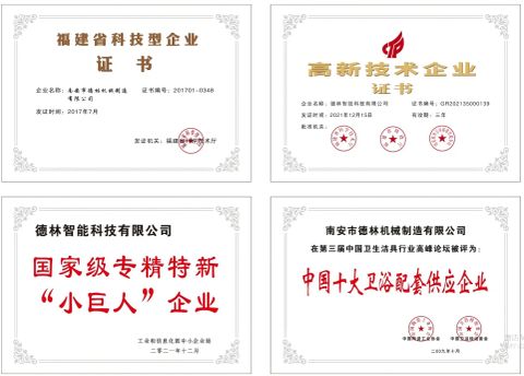 Domestic Certificate certificate of Delin Intelligent Technology Co., Ltd. – certificate photo, supplier certificates section