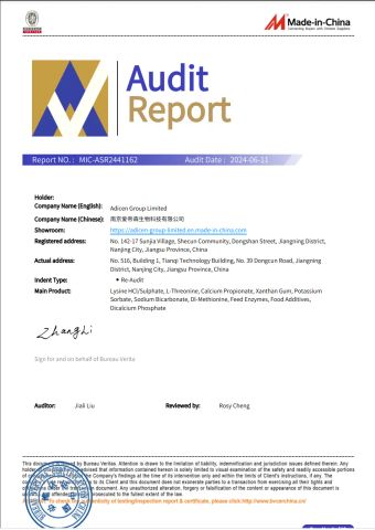 BV Audit Report certificate of Adicen Group Limited – certificate photo, supplier certificates section