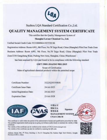 ISO 9001 certificate from Shanghai Lavaur Chemical Co., Ltd.