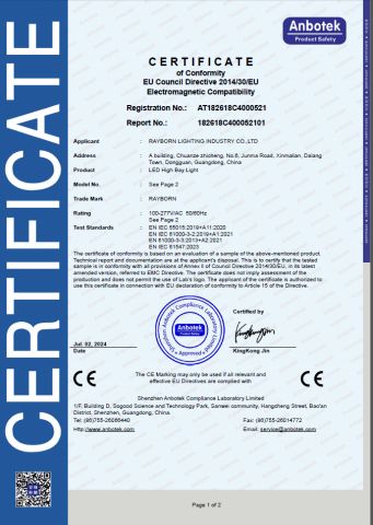 CE certificate from Rayborn Lighting Industry Co., Ltd.