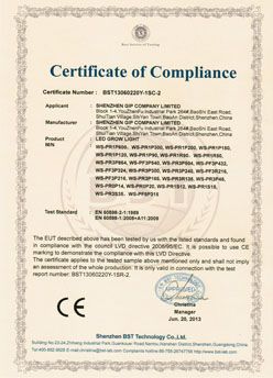 CE2 certificate from Shenzhen GIP Company Limited