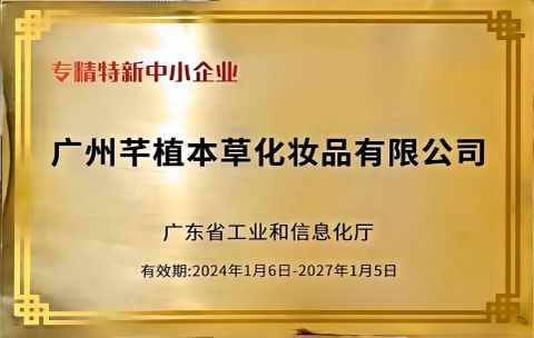 Specialised, Refined, Distinctive and Innovative SMEs certificate from Guangzhou Chingo Cosmetic Co., Ltd.