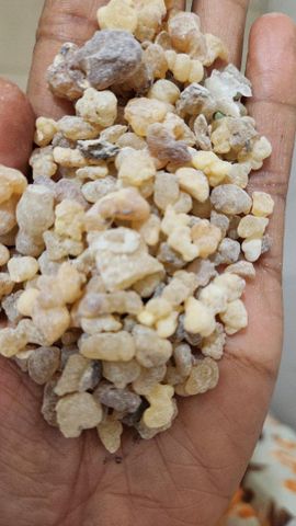 Pic of gum certificate from Enkupanet agro trading plc