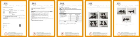 SGS certificate from Foshan Maxtolle Technology Co., Ltd.