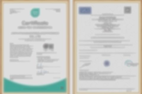 lolasana certificate from Shenzhen Energy Pig Supply Chain Management Co., Ltd.