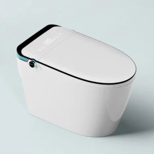 Automatic Sanitary Ware Ceramic Intelligent Inodoro Bathroom Wc Commode ...