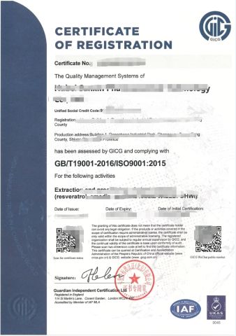 ISO 9001 certificate of Hubei Sanxin Pharmaceutical Technology Co., Ltd. – certificate photo, supplier certificates section
