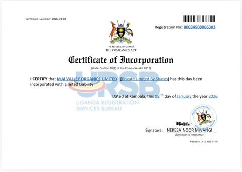 License certificate of savannah roots – certificate photo, supplier certificates section