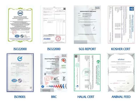 product certificate certificate of Shanghai Baske Biotechnology Co., Ltd. – certificate photo, supplier certificates section