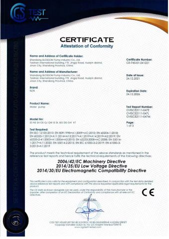 CE certificate from Shandong Blossom Pump Co., Ltd.