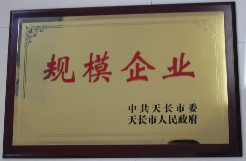 Large-scale Enterprises certificate from Tian Chang Redstar Wire Drawing Die Factory