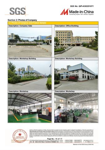 SGS certificate from Heze Hengtai Fuel Injection Equipment Co., Ltd.