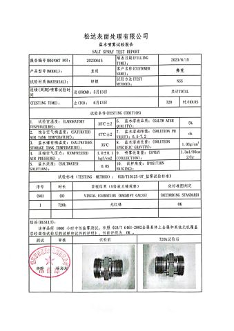 Sait spray test report certificate of Ningbo Fuke Hydraulics Machinery Co., Ltd. – certificate photo, supplier certificates section
