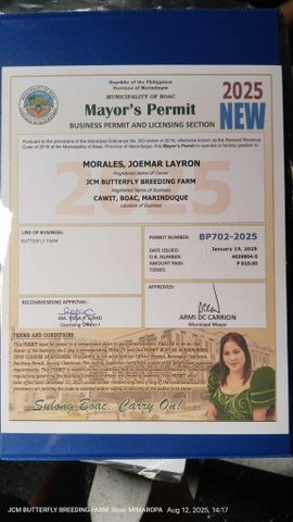 Mayor permit certificate from JCM BUTTERFLY BREEDING FARM
