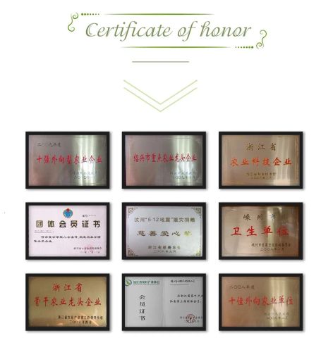 Certificate of Honor certificate of Shengzhou Houtu Tea Co., Ltd – certificate photo, supplier certificates section