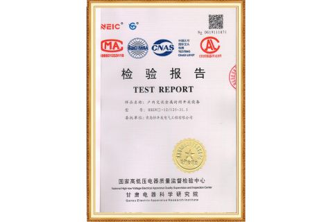 HXGN -12/125-31.5 Test Roport certificate from Qingdao Hengfengyou Electrical Engineering Co., Ltd.