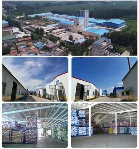 Factory pictures certificate from Shandong Fuhai Silk Road Trading Co., Ltd.