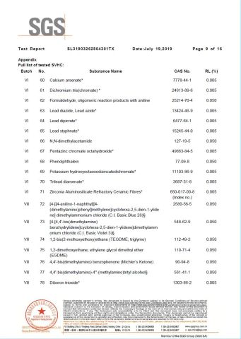 SGS Test Report 9 certificate from Eiffel Medical Supplies Co., Ltd.