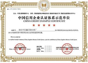 CREDIT EXAMPLE CERTIFICATE certificate from Ruian Zhenbang Printing Machinery Co., Ltd.