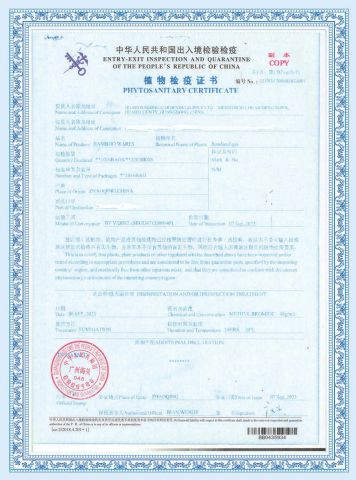 Phytosanitary Certificate of entry-exit inspection and quarantine of the people's republic of china certificate of Huaiji Junming Gardening Supply Ltd. – certificate photo, supplier certificates section