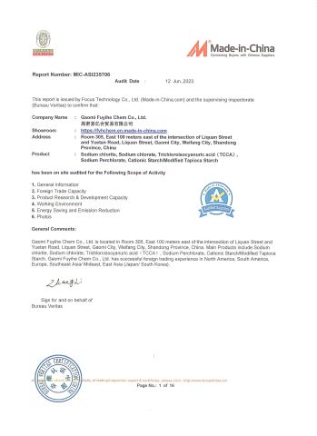 Bureau Veritas Certification certificate from Gaomi Fuyihe Chem Co., Ltd.