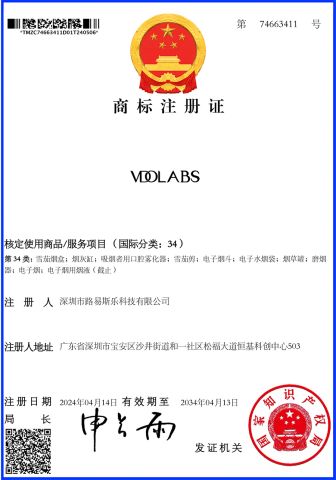 VDOLABS certificate of Shenzhen Lovisle Technology Co., Ltd. – certificate photo, supplier certificates section