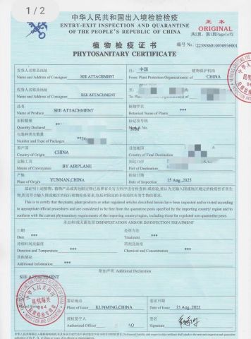 PHYTOSANITARY CERTIFICATE certificate from Yunnan Blue Bell Flower Co., Ltd.