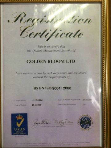 ISO certificate from Golden Bloom Ltd.