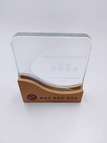 Outstanding Enterprise certificate from Shanghai Inlida Printing Materials Co., Ltd