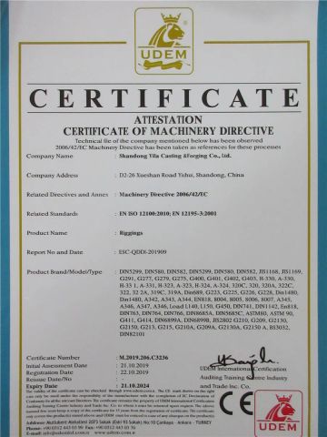 CE Certificate of Machinery Directive certificate from Shandong Yifa Casting & Forging Co., Ltd.
