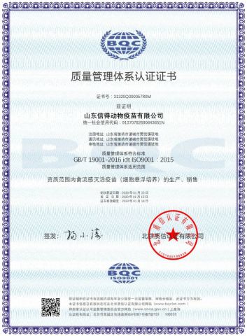 ISO 9001:2015 certificate of Shandong Sinder Technology Co., Ltd – certificate photo, supplier certificates section