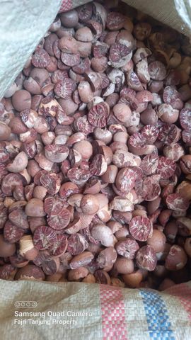 AGRO MAKI PLUS DOOEL STR NARODEN FRONT N - Freshdi