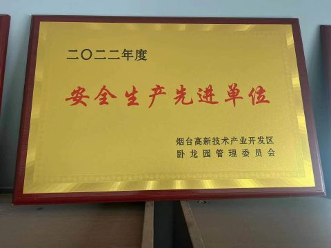 Safety Company certificate from YANTAI SHENHAI PACKAGING CO., LTD.
