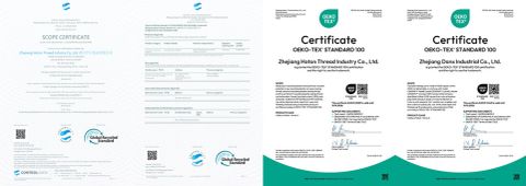 certification certificate from Jinjiang Lingerir Industry Co.Ltd