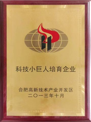 Deep tech Enterprise in Hefei High-tech Zone certificate from Hefei Mingde Optoelectronic Technology Co.,Ltd