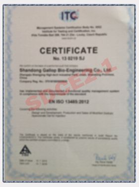 SDCE2-1 certificate from SHANGHAI REYOUNGEL MEDICAL TECHNOLOGY COMPANY LIMITED