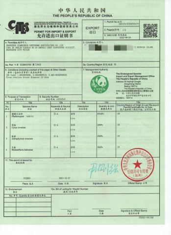 CITES certificate from ZHANGZHOU XIANGCHENG GREENHOME HORTICULTURE CO., LTD