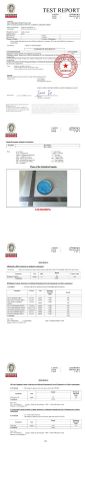 Test report of paint certificate from Tongxiang Goude Co., Ltd.