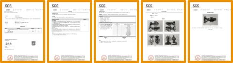 SGS certificate from Foshan Maxtolle Technology Co., Ltd.