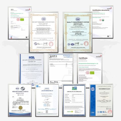 Certificates certificate of Shanghai Beimoo Biotechnology Co., Ltd. – certificate photo, supplier certificates section