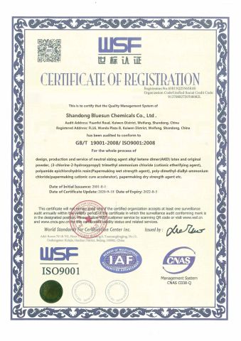 ISO certificate certificate from Shandong Bluesun Chemicals Co., Ltd.