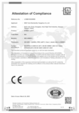 Certificates certificate from Dongguan Chaofan Lamp Manufacturing Co., Ltd.