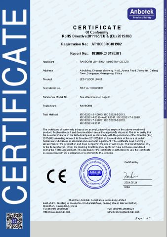 RoHS certificate from Rayborn Lighting Industry Co., Ltd.