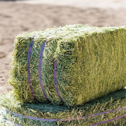 Curated visual reference: Fresh Look at Hot Sale Alfalfa Hay For Animal Feeding And Seeds Cheap